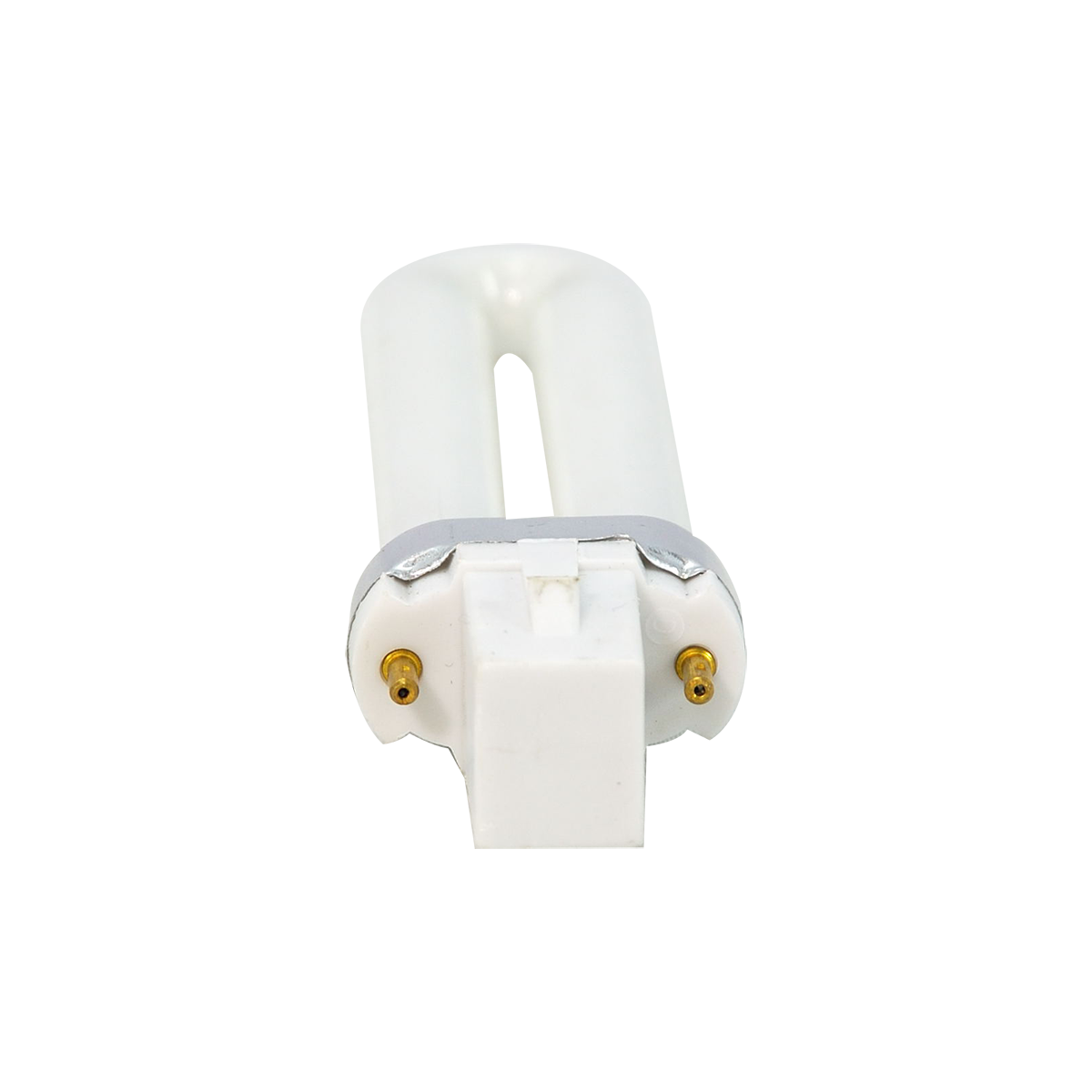 Bulb